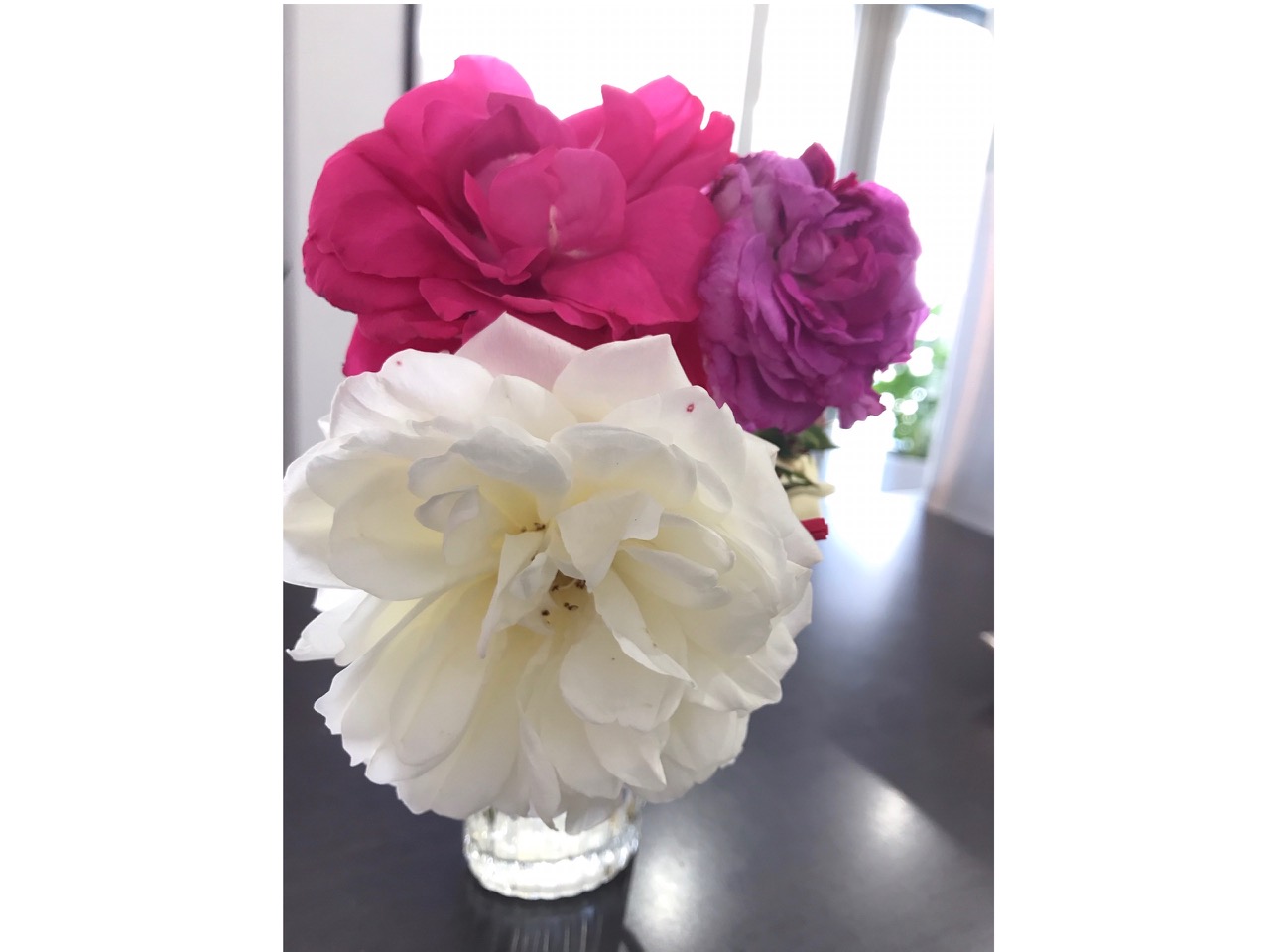 素敵なお花をいただきました♪