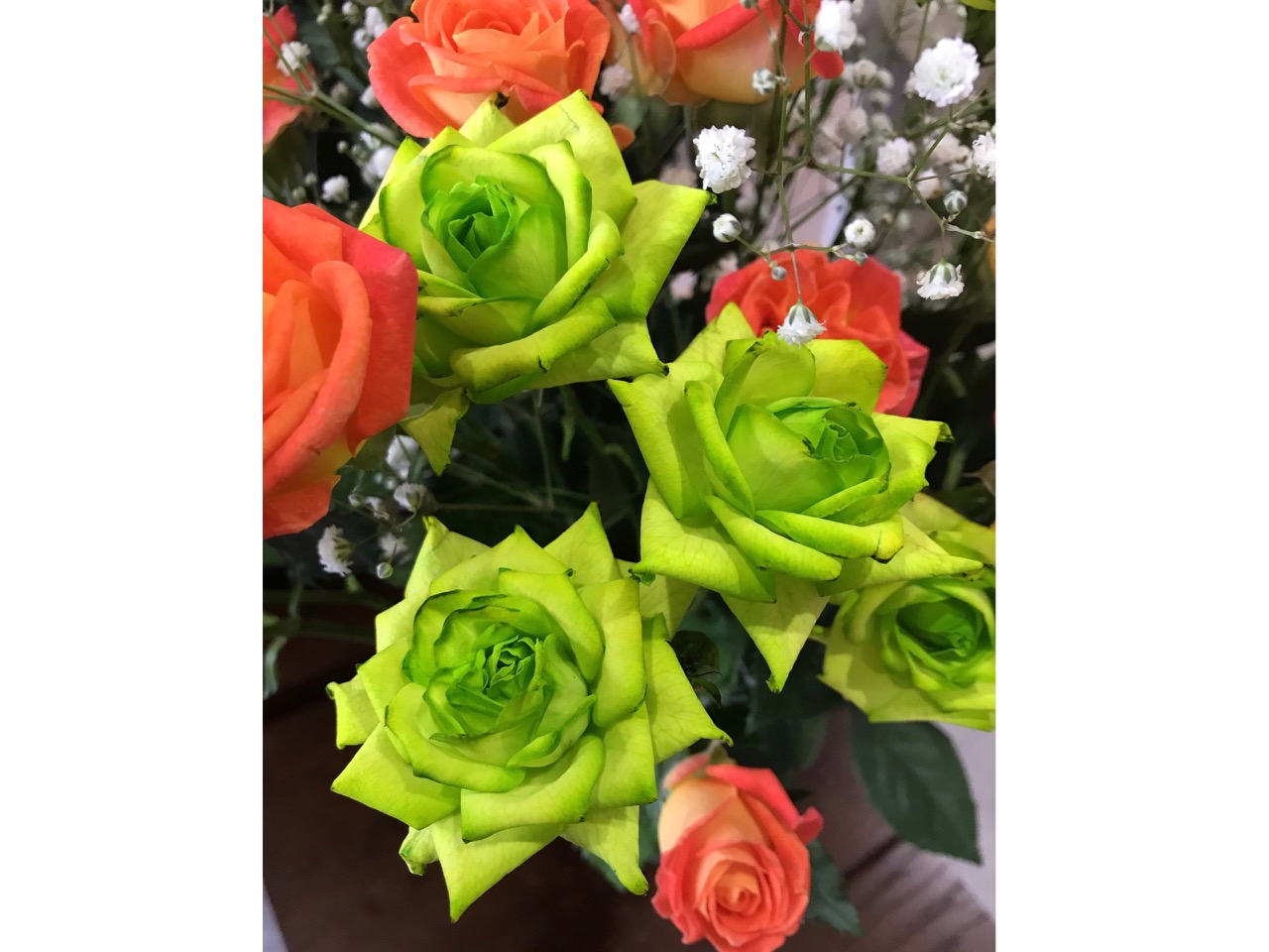 綺麗な薔薇をいただきました♪3