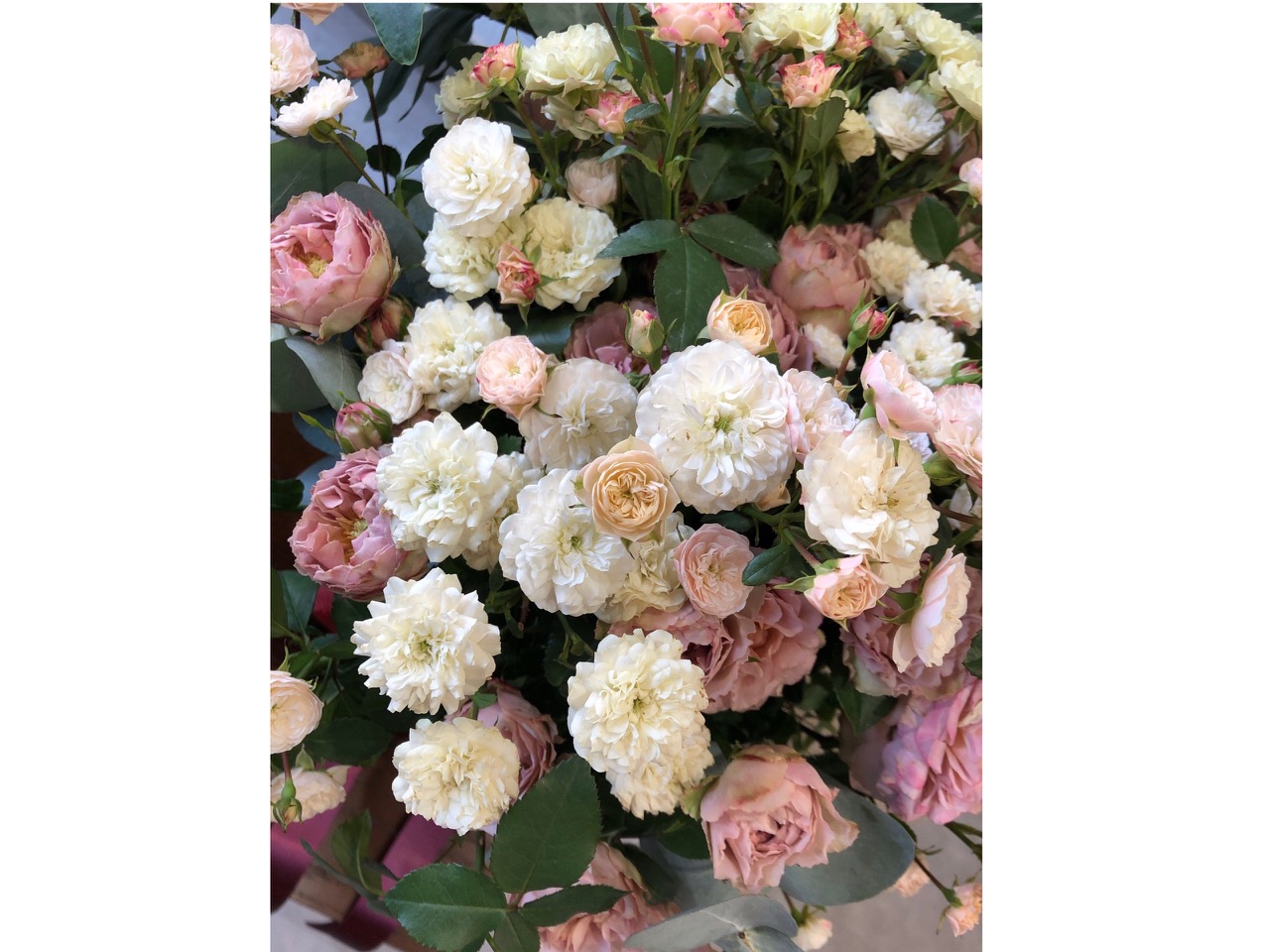 綺麗なお花をいただきました♪6